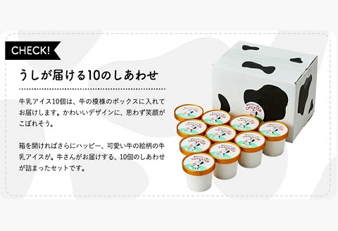 アイスクリーム詰め合わせ（10個）012AE01N.