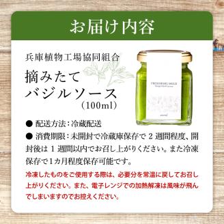 バジルソース 100ml　003HS02N.