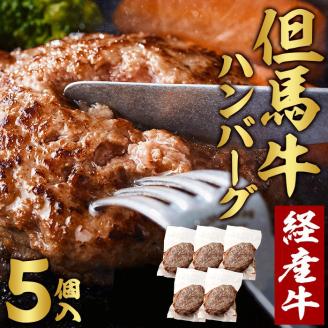但馬牛経産牛ハンバーグ（150g×5個）010AA09N.