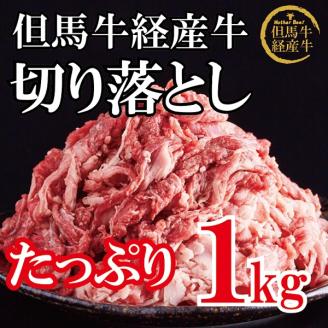 但馬牛経産牛「切り落とし」１ｋｇ　015AA02N.