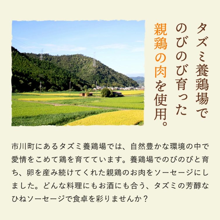 たずみのチキンソーセージ（5本入×2パック）005AB01N.