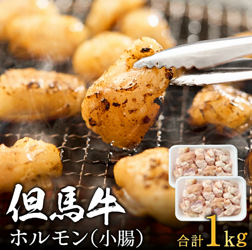但馬牛経産牛「ホルモン」（500ｇ×2 ）　012AA04N.