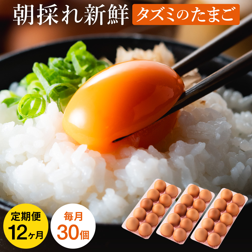 【TVで紹介されました】【定期便】タズミの卵Ｌサイズ（30個×12ヶ月）097AB01N.