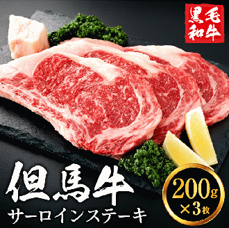 020AA02N.いちかわ精肉店「サーロインステーキ」200g×3/黒毛和牛 ステーキ肉 いちかわ精肉店 経産牛 牛肉 国産 bbq バーベキュー 焼肉 ステーキ サーロイン 赤身 肉 冷凍 焼き肉用