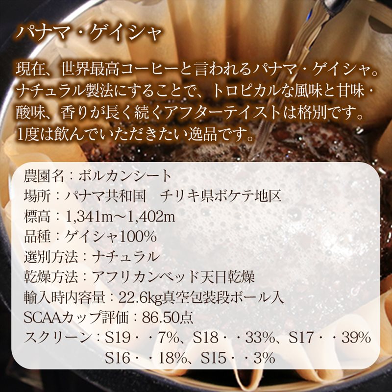 スペシャリティコーヒー詰め合わせセット（パナマゲイシャ100g＋スペシャリティブレンド200g）【粉】 粉