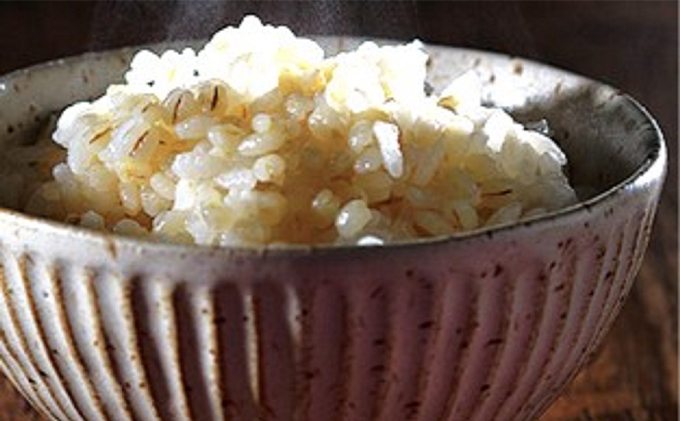 もち麦 精麦 大人買い(大) もちむぎ 雑穀 大