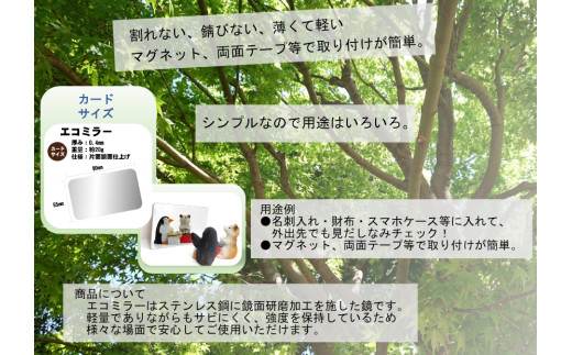 Eco Mirror ふくちゃん ミラー 鏡 ふくちゃん