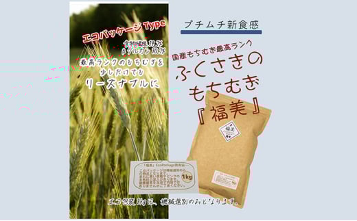 ふくさきのもちむぎ「福美」 精麦 1kg×2袋 2kg eco Package エコパッケージ もち麦 1kg×2