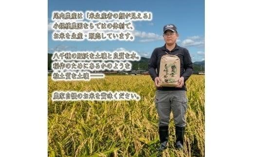 【定期便5kg×3か月】令和7年度産 ヒノヒカリ 精米 八千種米 お米 5kg 白米 新米 米 ごはん 兵庫 兵庫県産 世界かんがい施設遺産登録『西光寺野疏水路』 お米 回数：３回定期便
容量：5Kg