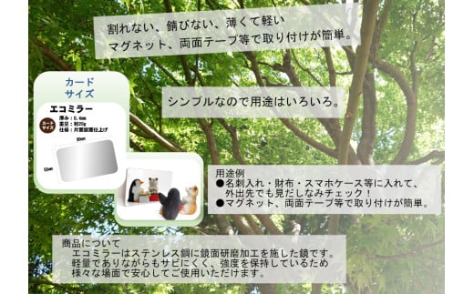  Eco Mirror ふくちゃん さきちゃん ミラー 鏡 ふくちゃん さきちゃんセット
