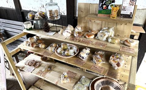 オーガニック お米のお任せパンセット 栽培期間中農薬不使用・グルテンフリー・生米パン 12個