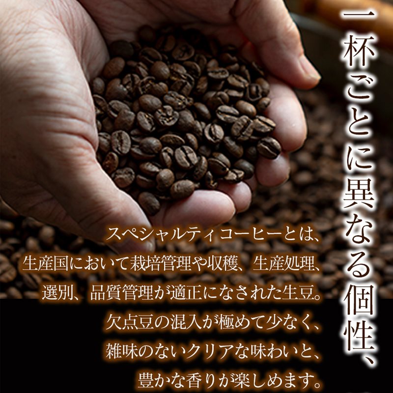 スペシャリティコーヒー詰め合わせセット（パナマゲイシャ100g＋スペシャリティブレンド200g）【粉】 粉