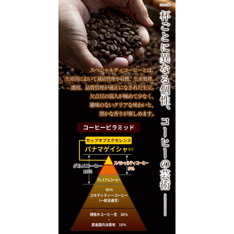 スペシャリティコーヒー（パナマゲイシャ200g）【豆】コーヒー 珈琲 自家焙煎 希少豆 豆