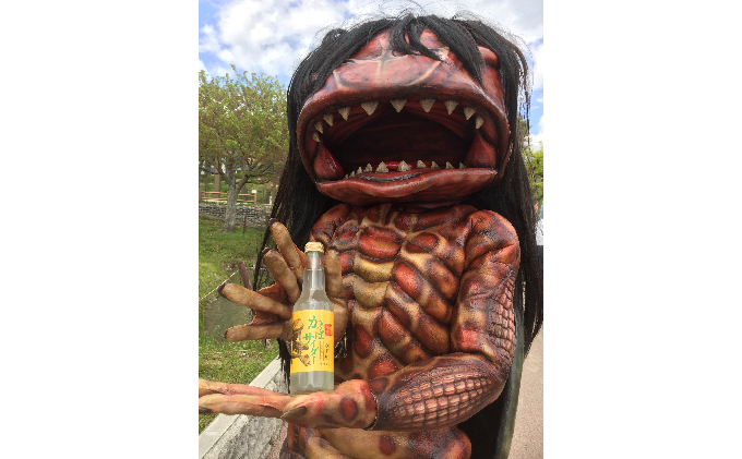 かっぱサイダー（24本セット） 24本