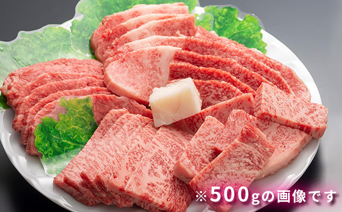 但馬牛 焼肉セット5種 食べ比べ 1000g 牛肉 国産牛 和牛 BBQ バーベキュー アウトドア 1000g