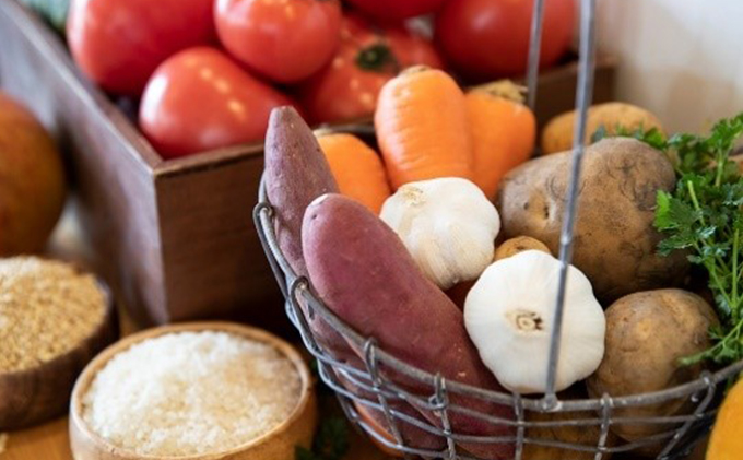 ひとつごはん 鶏肉オリジナルブレンド ペットフード 愛犬用 鶏肉 野菜 鶏肉オリジナルブレンド