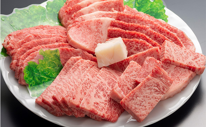 定期便 但馬牛 焼肉 5種 食べ比べ 計500g 6ヶ月連続お届け BBQ バーベキュー アウトドア 6ヶ月定期便