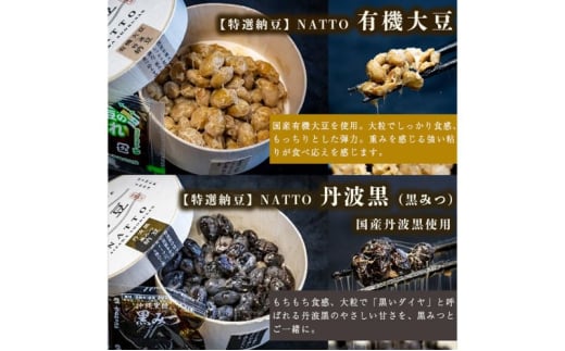 納豆 NATTO 高級国産納豆6種食べ比べセット 6個入り なっとう 丹波産 黒みつ パンダ豆 もち麦 枝豆 ピスタチオ 有機大豆 6個入り