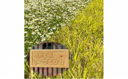 焙煎工房ウエサカオリジナル 無農薬玄米コーヒーセット（ティーパック5袋） ティーパック5袋