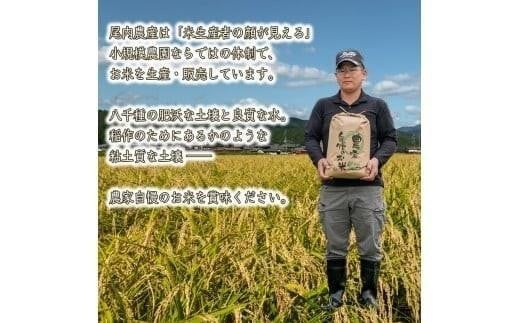 【玄米】 【 最短 翌日発送 】令和7年産 ヒノヒカリ 八千種米 お米 10kg ごはん 兵庫県産 世界かんがい施設遺産登録『西光寺野疏水路』 容量:10Kg
