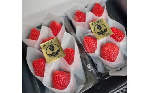 ひいな苺 贈答用 化粧箱入り いちご イチゴ
