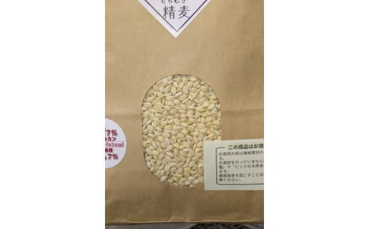 美味しさピカイチ!成分ピカイチ!もち麦は『福美』に決まり!!徳用4.3kg