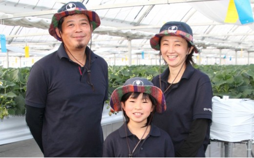 いちご詰め合わせ（2パック計500g以上）贈答用 化粧箱入り イチゴ 苺