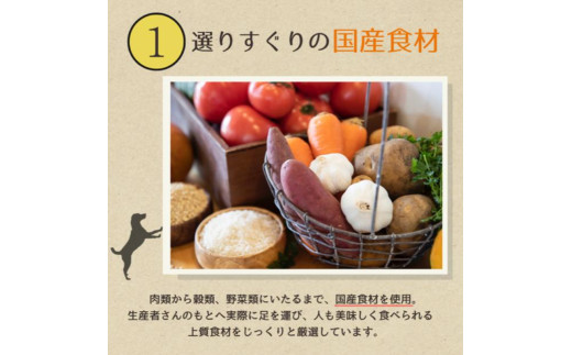 愛犬ごはん【ひとつごはん】しかぽてとオリジナルブレンド500g しかぽてと