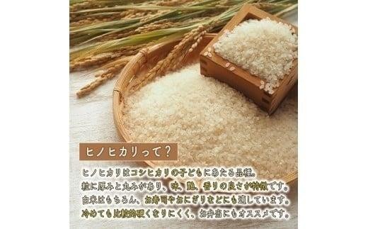 【定期便5kg×3か月】令和7年度産 ヒノヒカリ 精米 八千種米 お米 5kg 白米 新米 米 ごはん 兵庫 兵庫県産 世界かんがい施設遺産登録『西光寺野疏水路』 お米 回数：３回定期便
容量：5Kg