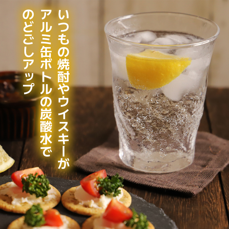 炭酸水 定期便 隔月 6回 500ml×24本 ソーダ 隔月 6回