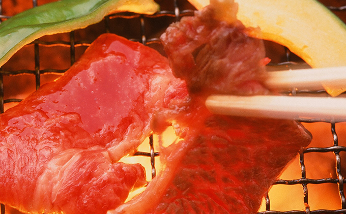 但馬牛 焼肉セット5種 食べ比べ 1000g 牛肉 国産牛 和牛 BBQ バーベキュー アウトドア 1000g