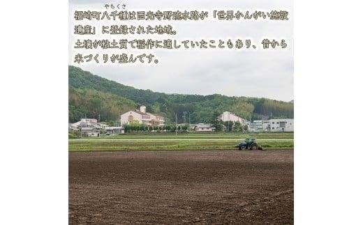 【定期便5kg×3か月】令和7年度産 ヒノヒカリ 精米 八千種米 お米 5kg 白米 新米 米 ごはん 兵庫 兵庫県産 世界かんがい施設遺産登録『西光寺野疏水路』 お米 回数：３回定期便
容量：5Kg