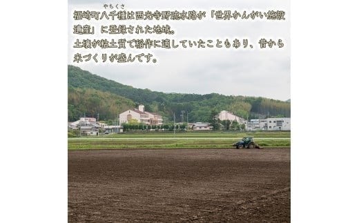【精米】令和7年度産 ヒノヒカリ 八千種米 お米 10kg ごはん 兵庫県産 世界かんがい施設遺産登録『西光寺野疏水路』 回数：１回
容量：10Kg