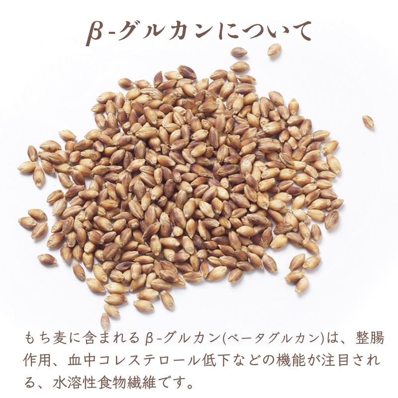 もちむぎ茶5個セット 500g×5個 お茶 贈り物 ギフト もち麦