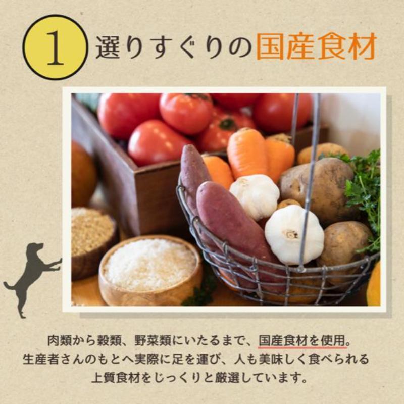 【定期便3か月】愛犬ごはん【ひとつごはん】とりぽてと500g 250g×2 定期便3か月