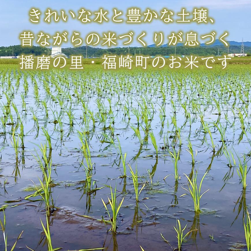 白米 10kg 令和7年産 兵庫県産キヌムスメ 【食味スコア80】 冷めても美味しい おにぎりにおすすめ お弁当におすすめ
