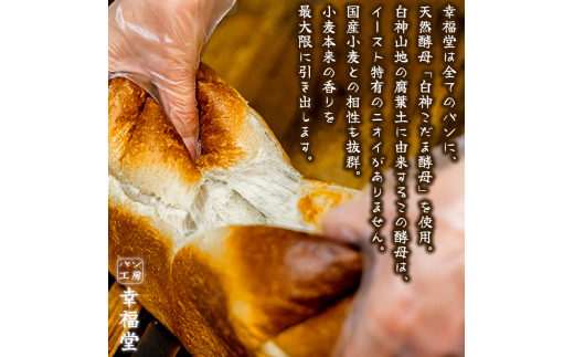 天然酵母の食パン2種 国産小麦粉 天然酵母 食パン