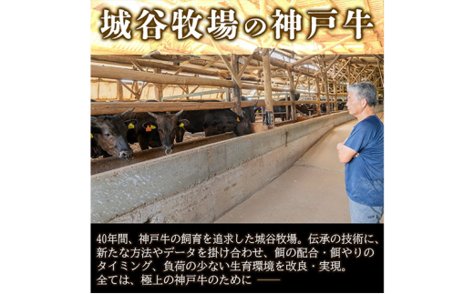 城谷牧場の神戸牛 モモ 焼肉 400g BBQ バーベキュー アウトドア