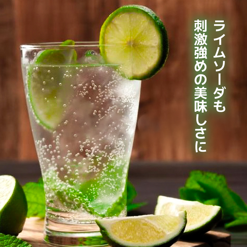 炭酸水 定期便 隔月 6回 500ml×24本 ソーダ 隔月 6回