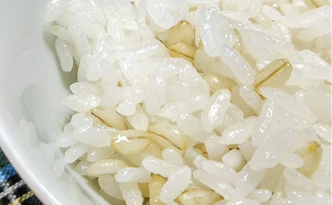 ハイパワーもち麦フクミファイバー（精麦1kg入り2袋セット） 1kg×2袋