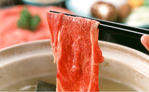 但馬牛 肩ロース すき焼き・しゃぶしゃぶ用 500g 牛肉 国産牛 和牛 すきしゃぶ ギフト お祝い 500g