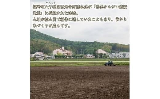 【生産者が届ける！】令和7年度産　玄米 ヒノヒカリ 八千種米　お米 1000kg　ごはん　兵庫県産　世界かんがい施設遺産登録『西光寺野疏水路』 生産者配達(ガジロウなし)
