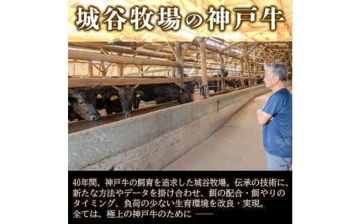 城谷牧場の神戸牛 ロース すき焼き しゃぶしゃぶ 600g 国産牛 和牛 神戸ビーフすきしゃぶ 冷凍 600g