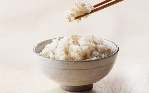 ガジロウ便【北海道・東北・九州】もちむぎ精麦 4kg もちむぎ精麦 4kg