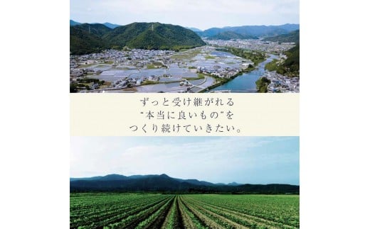 定期便 2か月間 4回お届け 計24パック しあわせの美人納豆　【 ピスタチオ / 黒大豆 / パンダ豆 】 3種6パックを隔週でお届け 自分へのご褒美 キレイをサポート 美容意識 健康食品 納豆 大豆