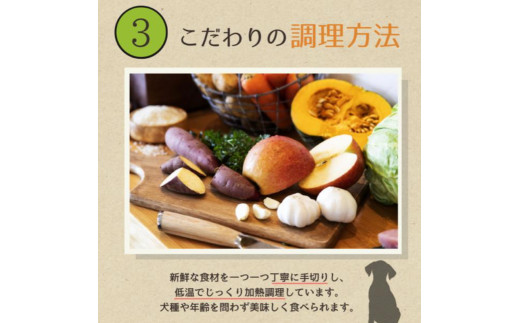 愛犬ごはん【ひとつごはん】うまぽてとオリジナルブレンド500g うまぽてと