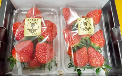 いちご詰め合わせ（2パック計500g以上）贈答用 化粧箱入り イチゴ 苺
