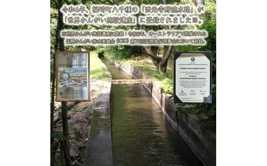 【精米】令和7年度産 ヒノヒカリ 八千種米 お米 10kg ごはん 兵庫県産 世界かんがい施設遺産登録『西光寺野疏水路』 回数：１回
容量：10Kg