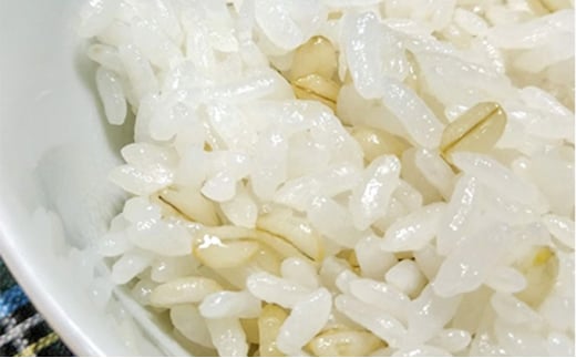 ハイパワーもち麦フクミファイバー（精麦500g入り4袋セット） 500g×4袋