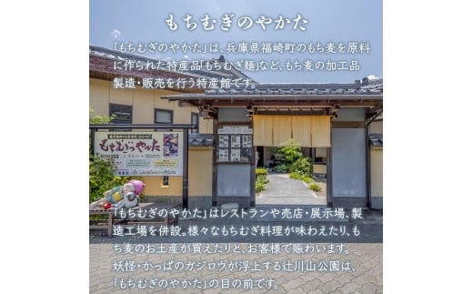 もち麦そうめんセット 50g×20束 素麺 麺 贈り物 ギフト 小分け もちむぎ そうめん もち麦使用